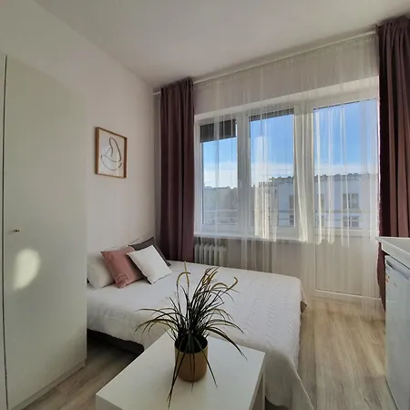 Art Studio Na Swietojanskiej I Apartment *